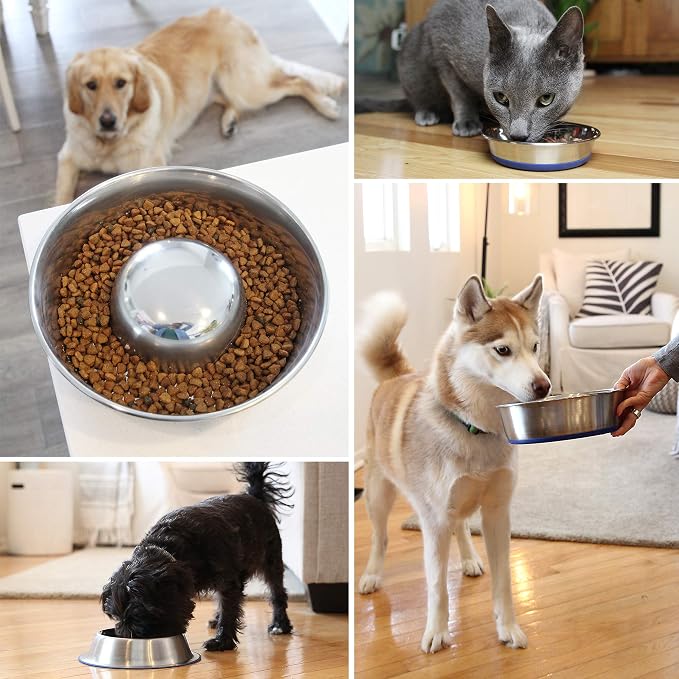 OurPets DuraPet Slow Feed Premium Stainless Steel Dog Bowl, Silver, Small (2040010300) | Helps pace rapid eaters at mealtime, durable and easy to clean, raised center dome design, a reliable everyday dish for pups