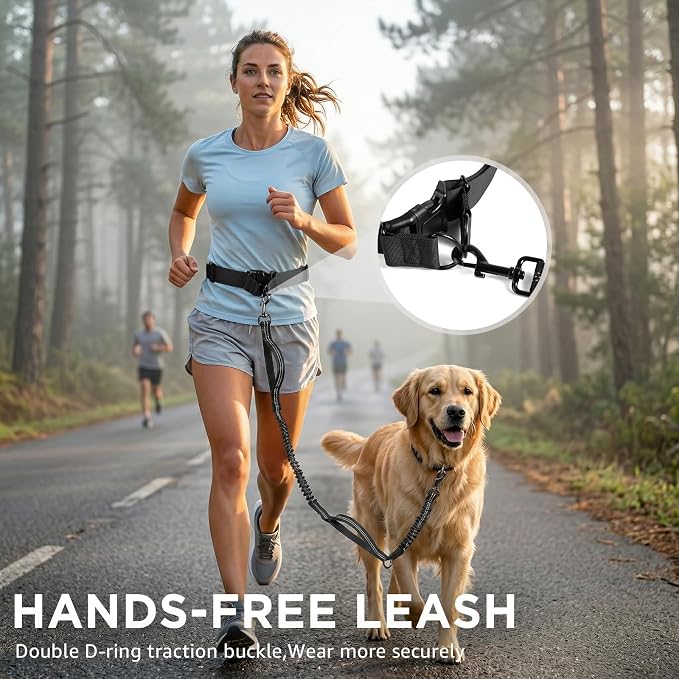 Hands Free Dog Leash with Waist Pack Bungee for Running Black | 4 Metal Clips, Reflective Stitching, Shock Absorbing Bungee, Adjustable Waist Belt, 28 to 48 Inch Fit, Zippered Pockets