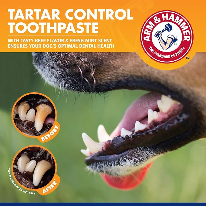 Arm & Hammer Tartar Control Dog Dental Kit, Beef Flavor, 3-Piece, 48-Pack | Enzymatic toothpaste with toothbrush and fingerbrush, baking soda formula safe for puppies