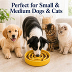 Ceramic Slow Feeder Dog Bowl, 1.5 Cup Puzzle Dish for Small Medium Dogs | Glazed ceramic maze bowl with 1.5-cup capacity for dry or wet food, sized for small and medium dogs