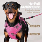 Service Dog Tactical Vest Harness and Leash Set Large Sized Dog Emotional Support- Tactical Dog Harness Training Collar with Name (Rose Red, XL)