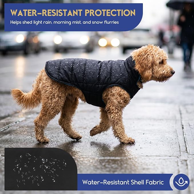 ASENKU Reversible Dog Winter Coat, Dog Jacket for Small Medium Large Dogs | Windproof Plaid Fleece Lining for Cold Weather, Water-resistant Outer Shell, Puppy Puffer Vest with Leash Hole, Blue XL