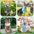 Sweetude 100 Pcs Plaid Dog Bandanas Bulk Paw Print Dog Scarf Bibs Puppy Pet Bandanas with Captions Adjustable Cat Outfit Washable Triangle Scarf Kerchief for Small to Medium(Spring)
