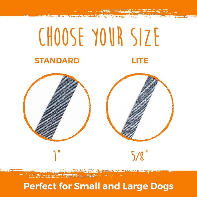 Mighty Paw Double Dog Leash - Double Leash for Two Dogs No Tangle Design. Split Lead for 2 Pets. Adjustable to Fit All Sized Breeds. Reflective Dual Pet Lead for People with 2 Pups