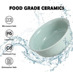 Ceramic Elevated Dog Bowl Set - Double Dog Food and Water Bowls with Metal Stand - Raised Pet Dishes for Puppies and Cats - 2 Cups - 12.5 fl oz - Green