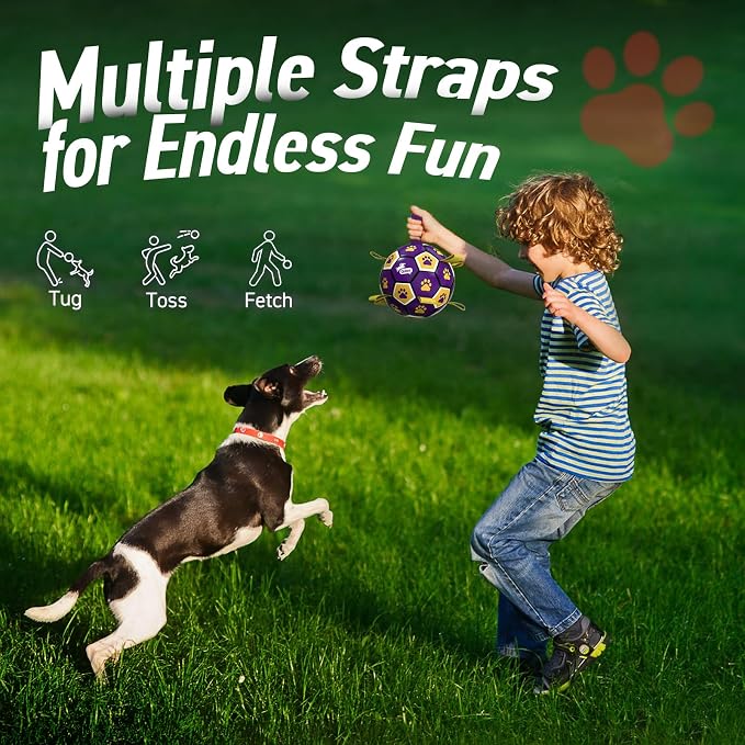 QDAN Dog Balls Toys, Soccer Ball with Straps, Herding Ball Toy, Puppy Toy | 6 Inch Puppy Water Pool Toy, Durable Balls for Dogs for 20-40 lbs Dog, Outdoor Herding Balls for Small Medium Dogs