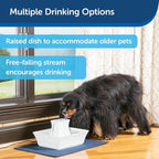 PetSafe Drinkwell Pagoda Fountain, Filters Included, 70 oz Ceramic, White | 2 Free-Falling Water Streams Encourage Hydration, Pet Water Fountain for Cats & Small Dogs, Replaceable Carbon & Foam Filters