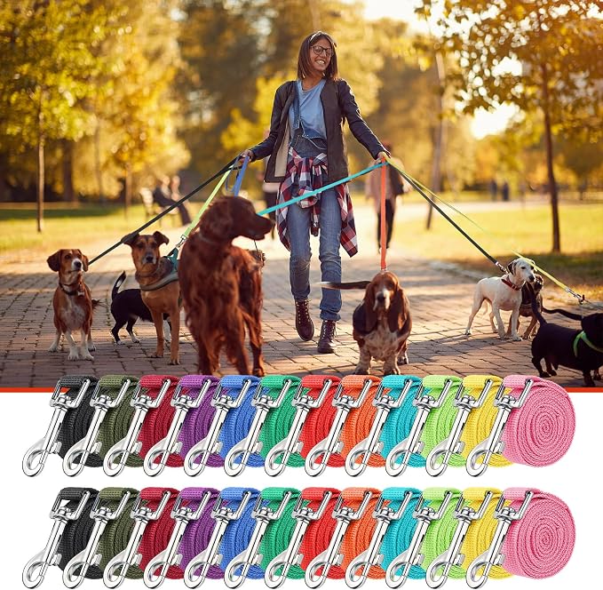 24 Pack Nylon Dog Training Leash Bulk 5 ft Dog Leash for Small and Medium Puppy Traction Rope for Training, Play, Camping, or Backyard, 12 Assorted Colors(Bright Colors)
