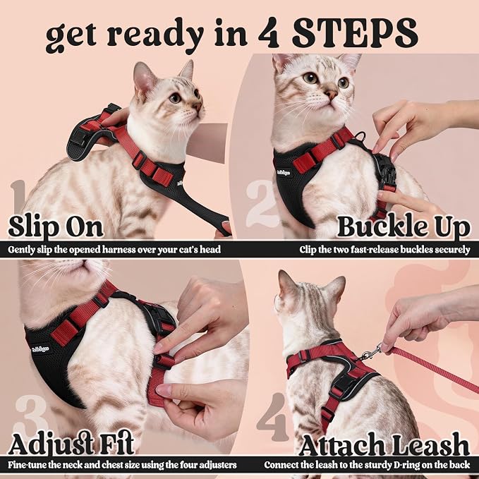 rabbitgoo Cat Harness and Leash Set, Escape Proof Vest, Black & Red | Soft Breathable Mesh, Easy Adjustable Fit, Snap Buckles, Sturdy Clip, Reflective Strips, for Small & Average Cats Walks, Xs