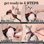 rabbitgoo Cat Harness and Leash Set, Escape Proof Vest, Black & Red | Soft Breathable Mesh, Easy Adjustable Fit, Snap Buckles, Sturdy Clip, Reflective Strips, for Small & Average Cats Walks, Xs