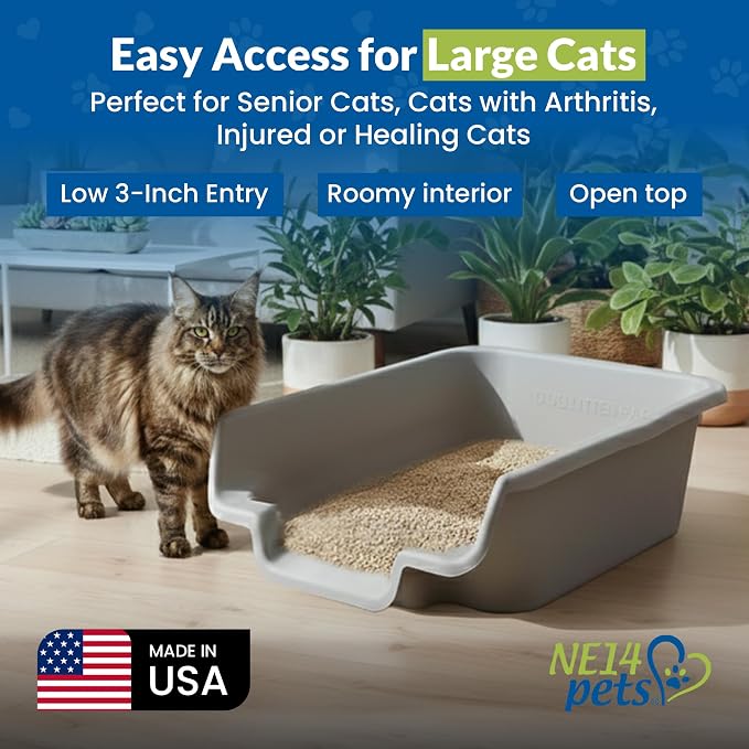 KittyGoHere Senior Cat Litter Box, Jumbo Litter pan, 2 Pack Misty Gray | Open Top Low Entrance Kitty Litter Box, Lightweight Low Entry Litters Box, Durable Design for Easy Cleaning, Made in USA