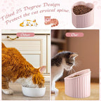Mumufy 2 Pcs Ceramic Elevated Cat Bowls Tilted Elevated Raised Pet Bowls Anti Vomit Cat Dish for Indoor Stress Free Water Dish Feeder for Puppies, Heart Shaped(Pink, Peacock Green)