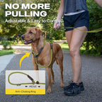 Fida 2-in-1 Slip Lead Dog Leash with 2 Handles, 6FT Training Leash, Green | No Collar Needed, Tangle Free, Soft Padded Handles, Traffic Control,Reflective Heavy Duty No Pull Leash for Medium-Large Dogs
