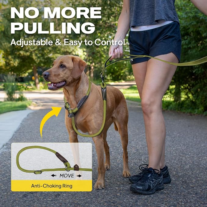 Fida 2-in-1 Slip Lead Dog Leash with 2 Handles, 6FT Training Leash, Green | No Collar Needed, Tangle Free, Soft Padded Handles, Traffic Control,Reflective Heavy Duty No Pull Leash for Medium-Large Dogs