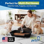 KittyGohere Senior Cat Litter Box Large with Scoop, 2 Pack Black | Open Top Low Entrance Kitty Litter Box With Long-handle Jumbo Scoop, Lightweight Low Entry Litters Box, Durable, Made in USA