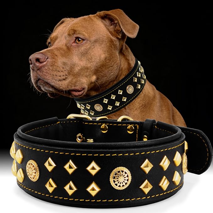 Genuine Leather Dog Collar 2.2 in Wide for Large Dogs Heavy Duty, BK-GD-S | Handcrafted,Stainless Steel Buckle and Alloy Studded,Soft Padded,Fashionable Daily Wear for Large Giant Breed,16.5-20.5 in