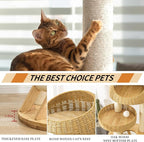 SHODMI Modern Cat Tree Tower for Large Indoor Cats, 53-Inch, 2 Basket Beds | 8 cm thick sisal scratching posts, 20.5-inch wide stable base, rubberwood frame, sisal stairs, plush & cooling mats