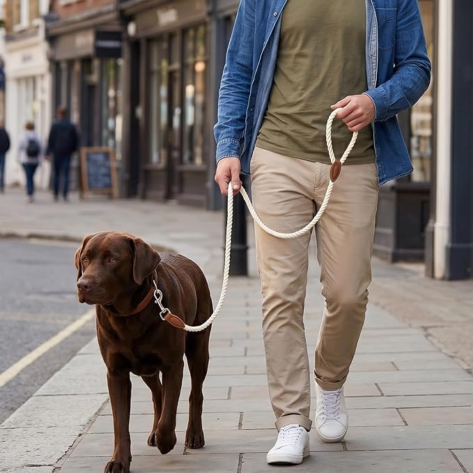 Mile High Life Dog Leash Braided Cotton Rope with Leather-Reinforced Ends | Rust-proof 360° swivel clasp, Heavy-duty for medium/large breeds. Great for weddings, daily walks (4 FT, 1/2", White)