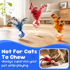 Cat Feather Toys 10 Pack, Cats Bouncy Balls for Indoor Cats | Feather Chase & Fetch Balls, Bouncy Tails Cat Toys with Durable Rubber, Interactive Home Chase Exercise Hunting Play