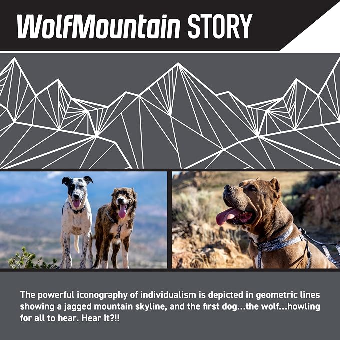 Wolfgang Heavy Duty Dog Leash, Pull-Tested for Walking & Training, WolfMountain Print, Small
