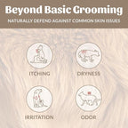 SKOUT'S HONOR Probiotic Dog Shampoo and Conditioner - DOTW, 16 oz, 2-Pack | Natural 2-in-1 for Itchy Skin, Microbiome-Friendly with Avocado Oil & Omega-3s, Paraben & Sulfate-Free