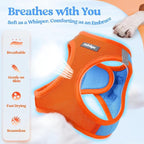 rabbitgoo Dog Harness Medium Sized and Leash Set, Step-in Puppy Pet Vest | Light, Soft, Breathable Air Mesh, Easy on and Remove with Hook & Loop, Secure Reflective for Walking, Blue & Orange XL