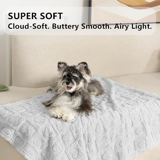 gogobunny Pet Blanket for Dogs Cats, 300GSM Ultra Soft Coral Fleece Blanket, Washable Small Dog Cat Blanket, Calming Crate Mat, Furniture Protector for Couch Bed Car Seat, Light Grey, 30x40IN