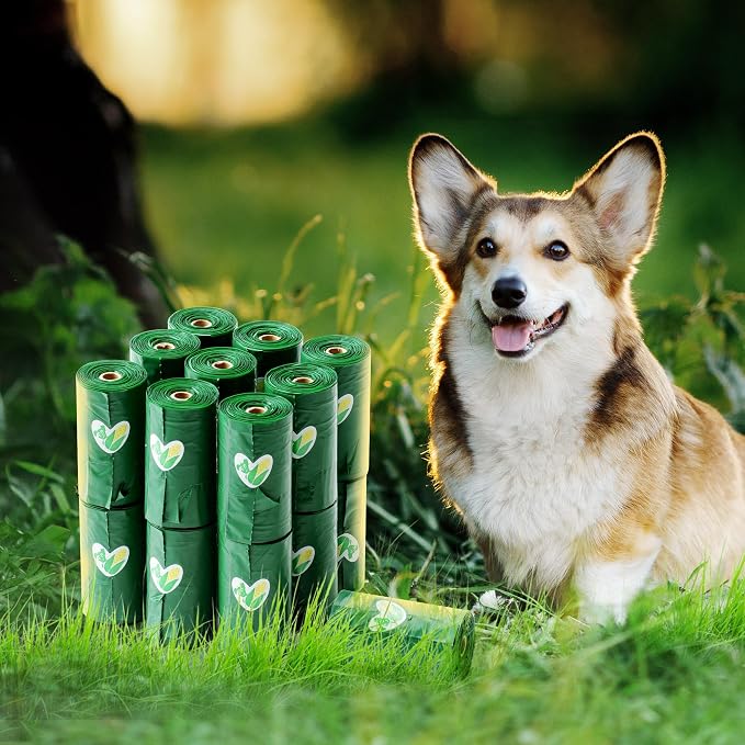 Pkpoo 100% Compostable Dog Poop Bags with Handles, Extra Wide, Vegetable-Based Large Poop Bags for Dogs, Biodegradable Waste Bags for Poo, Cat Litter, Diaper Sacks, Unscented, 180 Counts