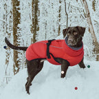 IECOii Extra Warm Dog Coat - Reflective, Adjustable Winter Jacket with Buckle & Turtleneck for Small to Extra Large Dogs