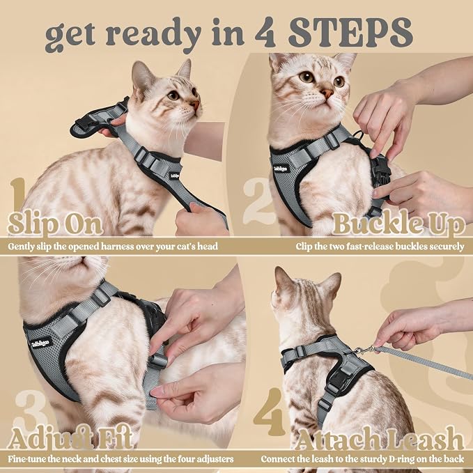 rabbitgoo Cat Harness and Leash Set, Escape Proof Vest, Grey | Soft Breathable Mesh, Easy Adjustable Fit, Snap Buckles, Sturdy Clip, Reflective Strips, for Medium to Large Cats Walks, M
