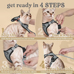 rabbitgoo Cat Harness and Leash Set, Escape Proof Vest, Grey | Soft Breathable Mesh, Easy Adjustable Fit, Snap Buckles, Sturdy Clip, Reflective Strips, for Average Cats Walks, S