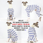 D Doggy Star Italian Greyhound Clothes Soft Stretchy Onesie Refined Stripe Outfit Whippet for Dog Coat (L,Onsi Blue Str)
