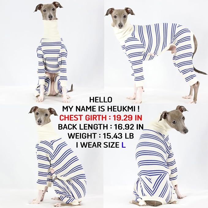 D Doggy Star Italian Greyhound Clothes Soft Stretchy Onesie Refined Stripe Outfit Whippet for Dog Coat (M,Onsi Blue Str)