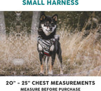 Embark Adventure Small Dog Harness – No-Pull, Reflective Trim, Military-Grade Nylon, Front Clip with Gel-Lined Handle