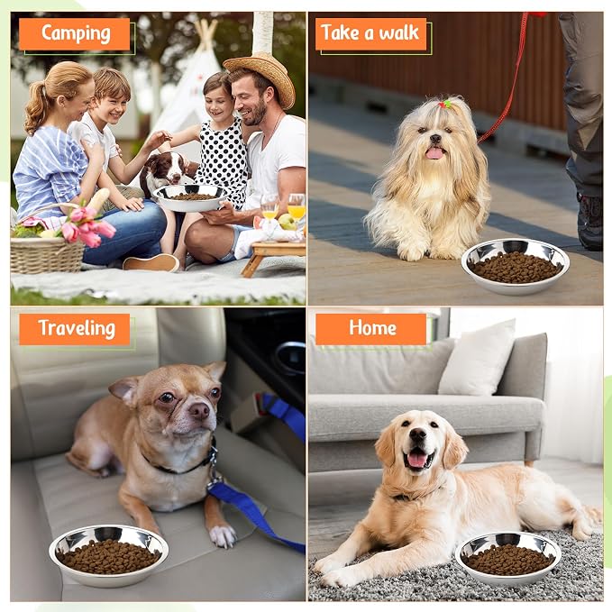 Patelai Stainless Steel Dog Bowls with Silicone Lids for 1.9 Cups Portable Food and Water Dishes for Pets Sealable Containers for 6.3" for Cats & Small Dogs(8 Pcs,Red,Blue,Green,Purple)