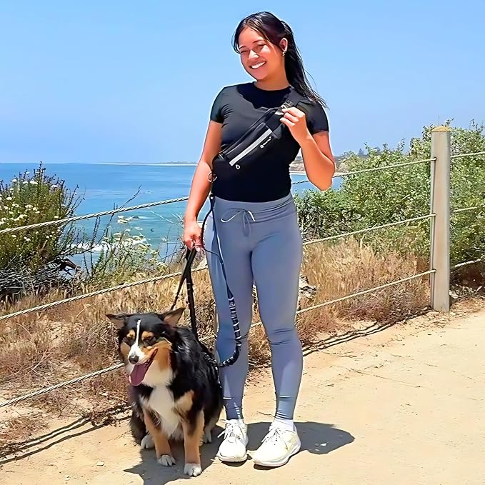 Hands Free Dog Leash with Waist Pouch, Reflective Bungee, Dogs Up to 100 lb | Adjustable 25-45 in belt, dual padded handles and lightweight pouch for walking, running, hiking and training dogs, black