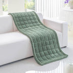 Couch Cover for Dogs Washable, Non-Slip Pet Couch Covers for Sofa, Fuzzy Dog Couch Cover Mat, Thick, Soft, Plush Couch Cushion Covers for Sofa Protector (Green, 23.6" x 47.2"/60 x 120cm)