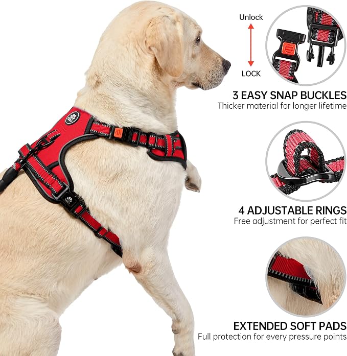 NESTROAD No Pull Dog Harness,Adjustable Oxford Dog Vest Harness with Leash,Reflective No-Choke Pet Harness with Easy Control Soft Handle for Small Dogs(Small,Red)