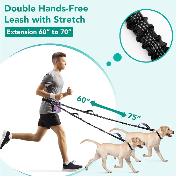PetAmi Premium Hands Free Dog Leash for 2 Dogs, Adjustable Waist Belt Leash for Dog Walking, Fanny Pack Accessories Bag Dual Bungee Leash for Running, Hiking, Jogging, Biking, Purple