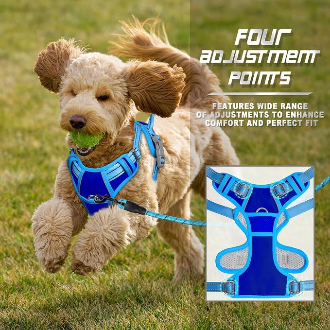 BARKBAY No Pull Dog Harness Front Clip Heavy Duty Reflective Easy Control Handle for Large Dog Walking(Sapphire Blue & Blue,XS)