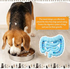 Vesici Slow Feeder Dog Bowls Set 3.2l No Spill Water Bowl and 2 Cups 304 Stainless Steel Dog Slow Feeder Food Bowl Puppy or Cat Food Holder Dishwasher Pet Supplies