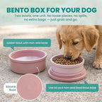 Dog Travel Bowls - Set of 2 Portable Pet Food & Water Dishes with Lid & Handle - Each Nesting Container Includes a Non-Slip Silicone Base - Microwave & Dishwasher Safe - BPA & Toxin-Free