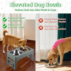 EliteField Elevated Dog Bowls, 2 Stainless Steel Bowls (2-Year Warranty) | 58 oz Bowls, 5 Adjustable Heights, Small to Large Dogs, Foldable, Dishwasher Safe, Anti-Slip Feet