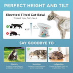 Necoichi Ceramic Elevated Cat Food Bowl, 15° Tilted (Fuji, Regular Tilted)