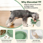 Elevated Slow Feeder Dog Bowls with Splash Proof Stand, Slow Eating 5X | 6.5″ Dog Slow Feeding Bowls & 6.1″ Dog Food Dish, Non-Slip Raised Food and Water Bowl Set for Small and Medium Breeds, Green