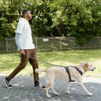 S-ETOVUS-Chain Dog Leash, Bite-Proof Metal Leash, with Padded Handle | Three Sizes 7.25FT/5.2FT/4FT, Woven From Nylon Rope And Chain, Durable And Bite-Resistant, Comfortable With Padded Handles