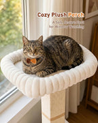 Morden Cat Scratching Post with Top Plush Bed for Indoor Cats | Removable & Washable Perch, Small Morden Cat Tree, Cat Tower with Scratch Post, Natural Sisal, White