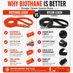 Gummy K9 Dog Leash, Biothane, Dog Training Leash, Made in The USA, 6 Feet, Various Sizes & Colors (5/8, Orange)