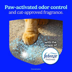 Fresh Step Advanced Ever Fresh Multi Cat Clumping Litter with Febreze Freshness, Ammonia Block Technology, Ultra Absorbent, 16 lb. Box, Pack of 2 | Ultra Absorbent to Last Longer, Scented with Febreze Freshness, Lowest Dust Formula, Compatible with Mos...