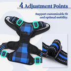 rabbitgoo Dog Harness, No Pull for Small Dogs with 2 Leash Clips, Pet Vest | No Choke with Handle, Adjustable Soft Padded, Reflective, Easy Control for Walking, Blue Plaid, Small